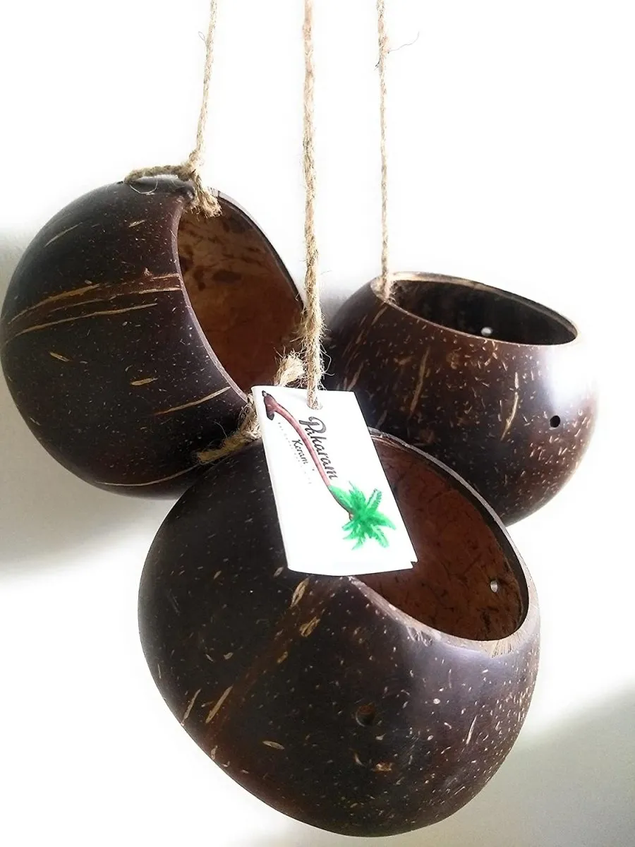 3 Coconut shell bowls with Jute thread for storage