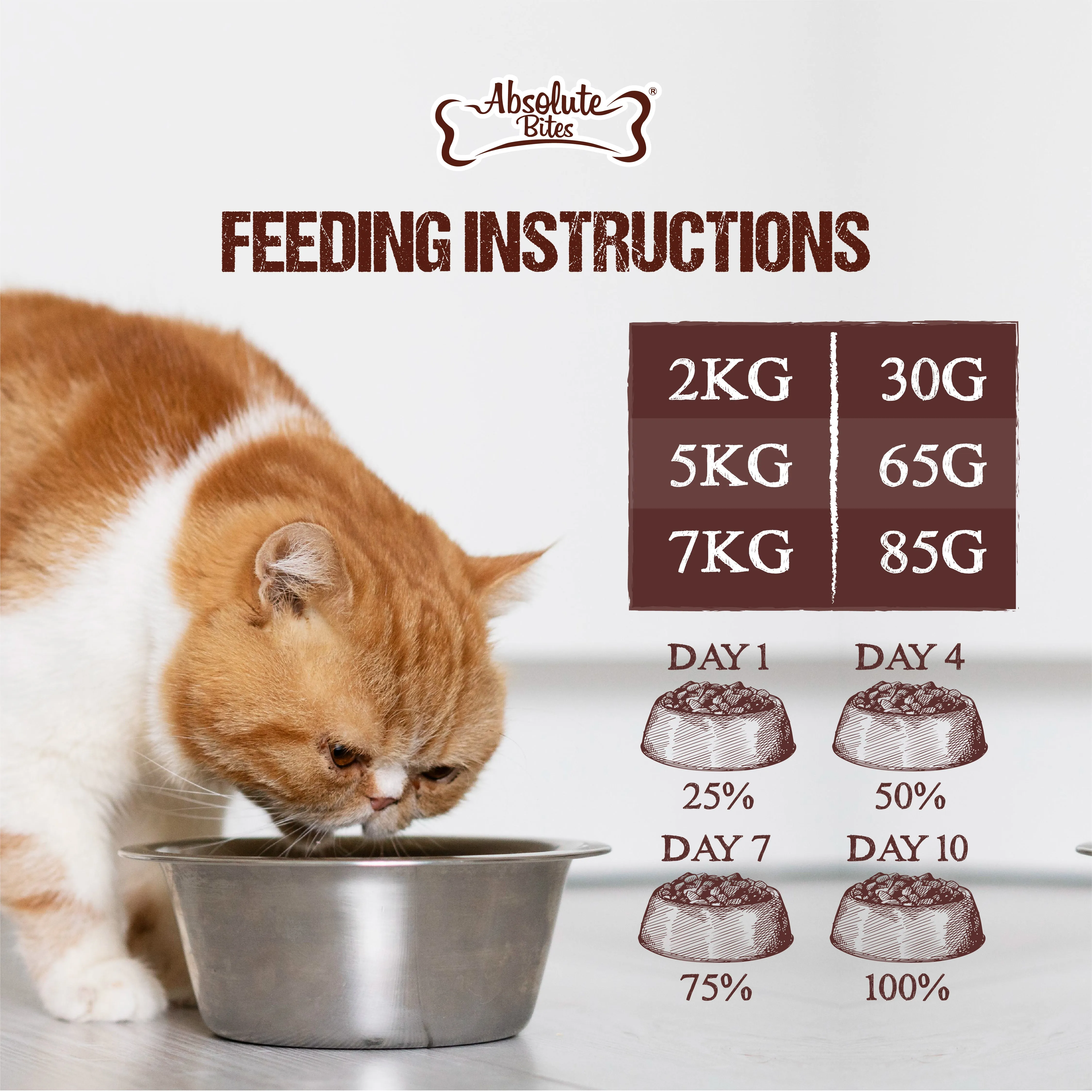 Absolute Bites Raw Chunks Freeze Dried Raw Food for Cats & Kittens - Salmon Recipe (280g)