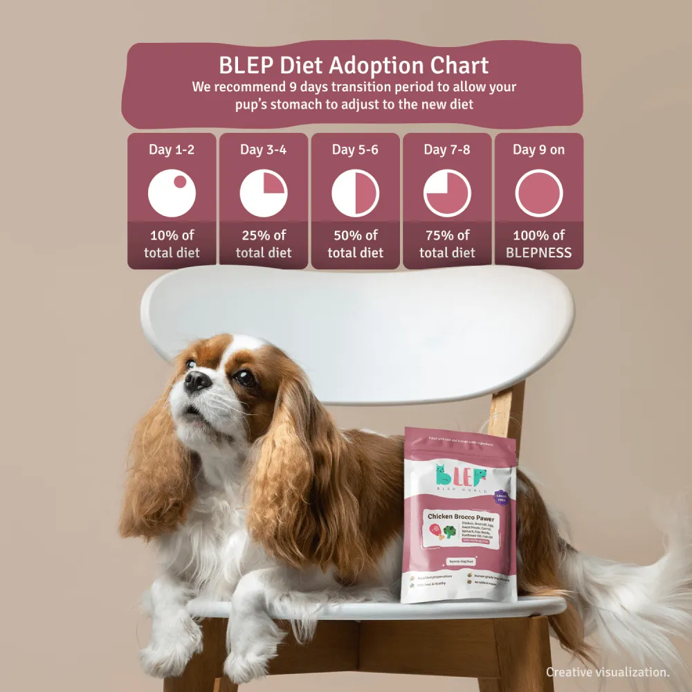 BLEP Pawer 5 Flavour Variety Pack Dog Wet Food