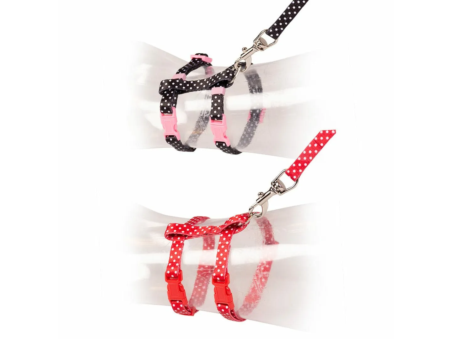 CAT WALKING SET WHITE DOTS 20-35cm / 10mm - 125cm