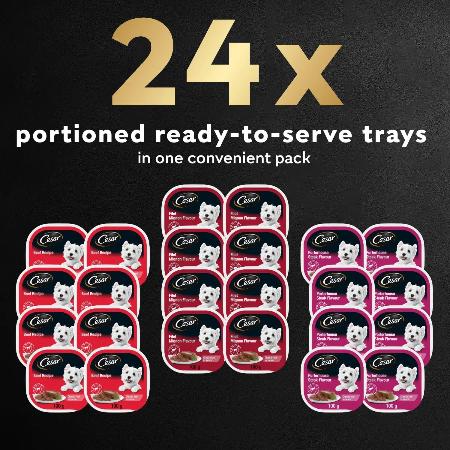 CESAR Classic Loaf in Sauce Adult Wet Dog Food Beef Selects Variety Pack.