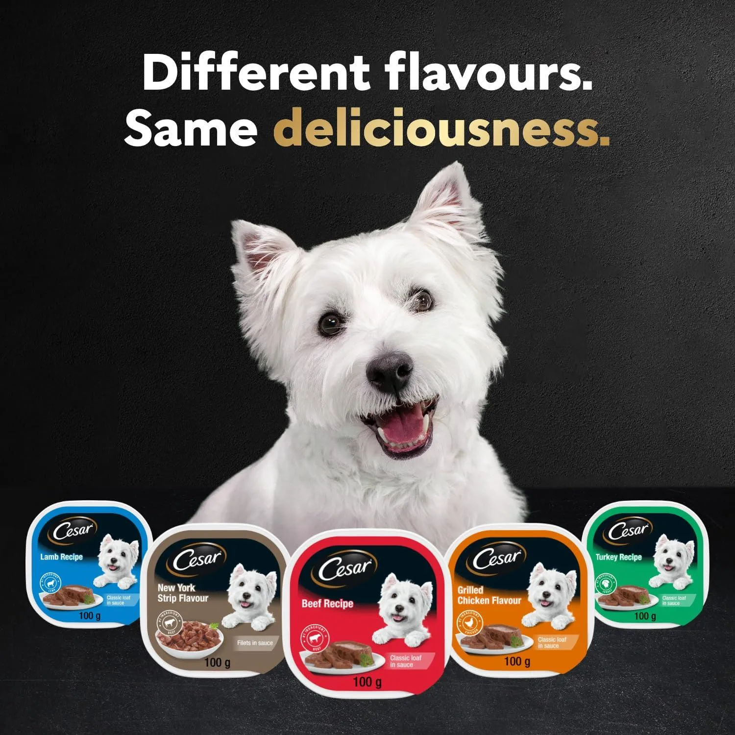 CESAR Classic Loaf in Sauce Adult Wet Dog Food Beef Selects Variety Pack.