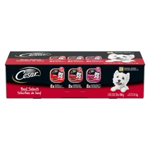 CESAR Classic Loaf in Sauce Adult Wet Dog Food Beef Selects Variety Pack.
