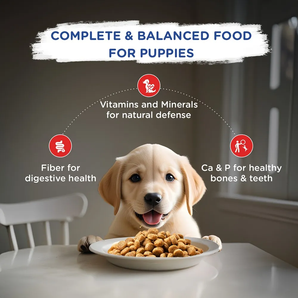 Chappi Chicken & Milk Dry Puppy Food