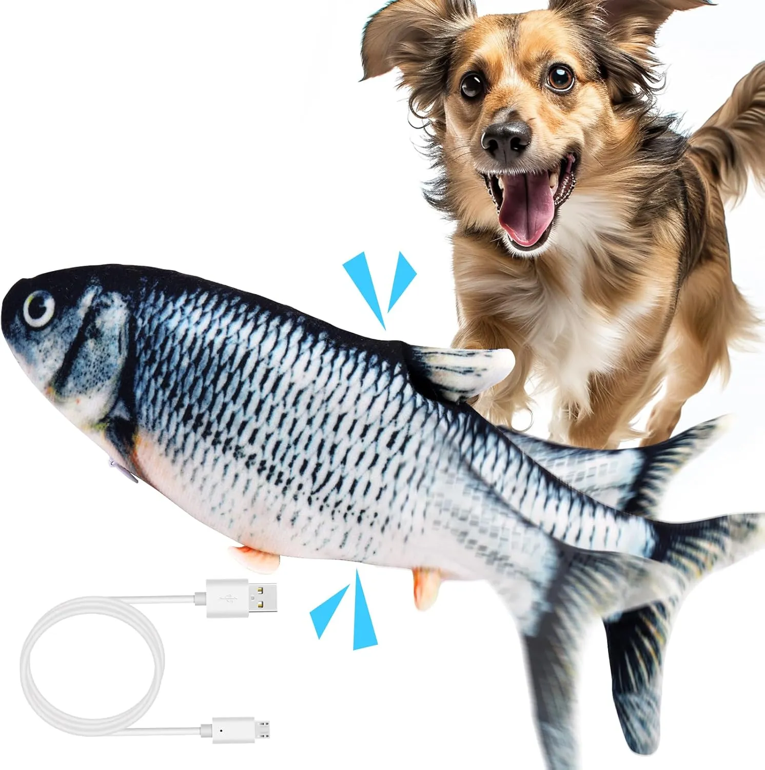 Dancing Fish