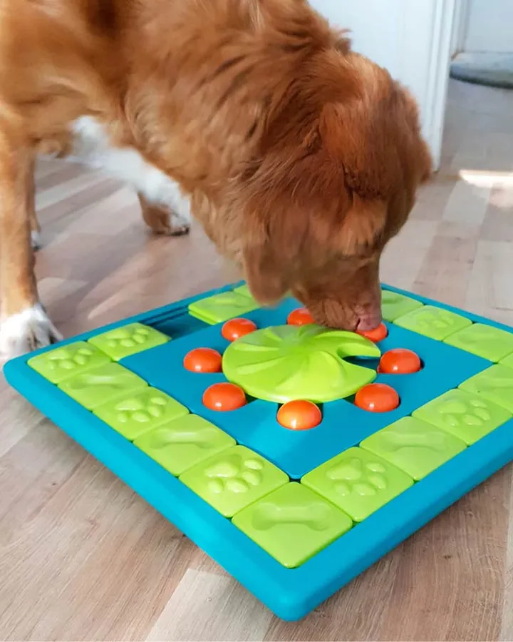 Dog Multipuzzle - Activity Game Level 4