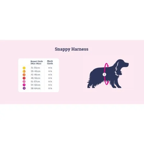 Doodlebone Snappy Dog Harness Ruby Size 1-2