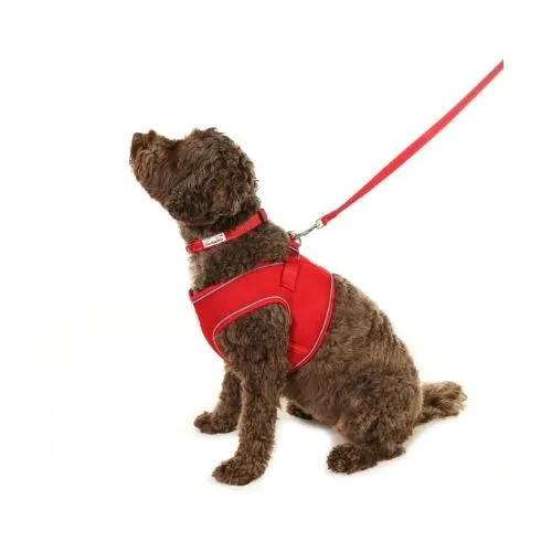 Doodlebone Snappy Dog Harness Ruby Size 1-2