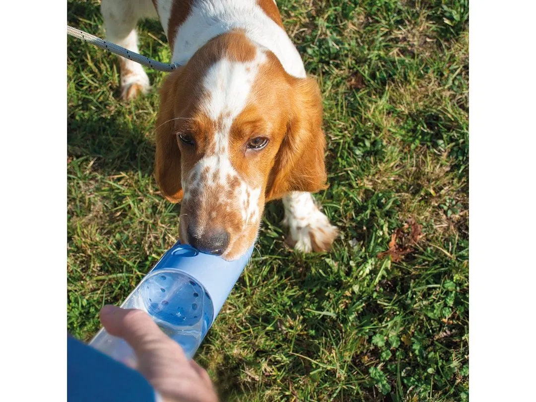 Drinking Bottle 300Ml - 28,5X6,5X6,5
