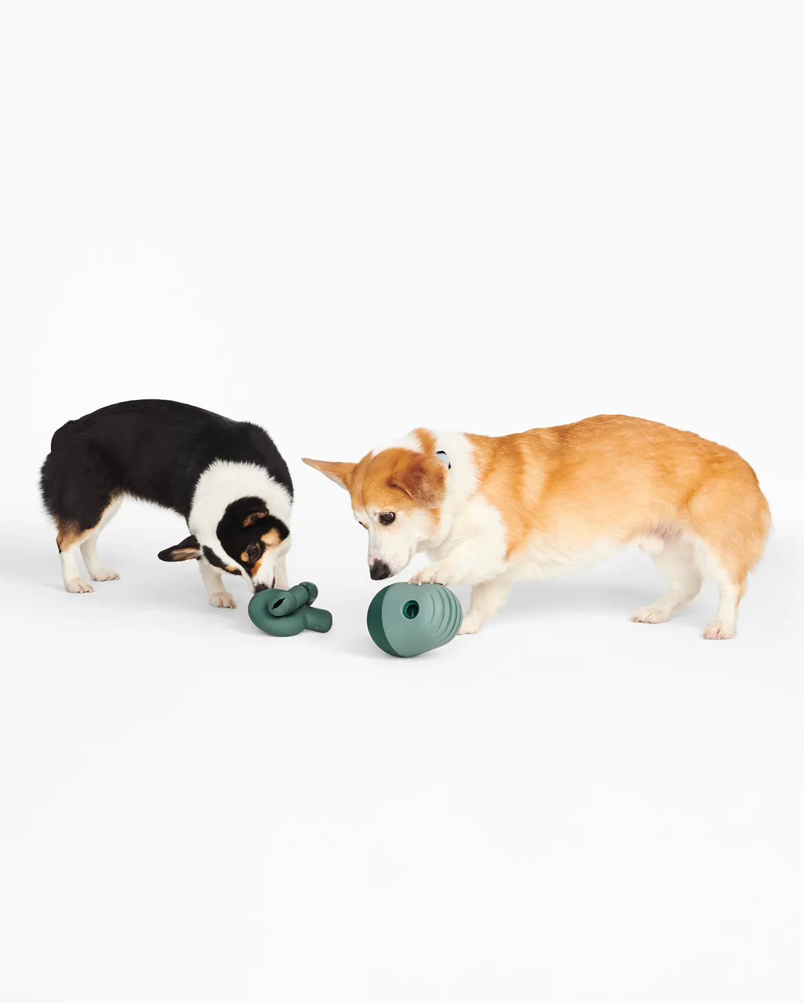 Enrichment Set
