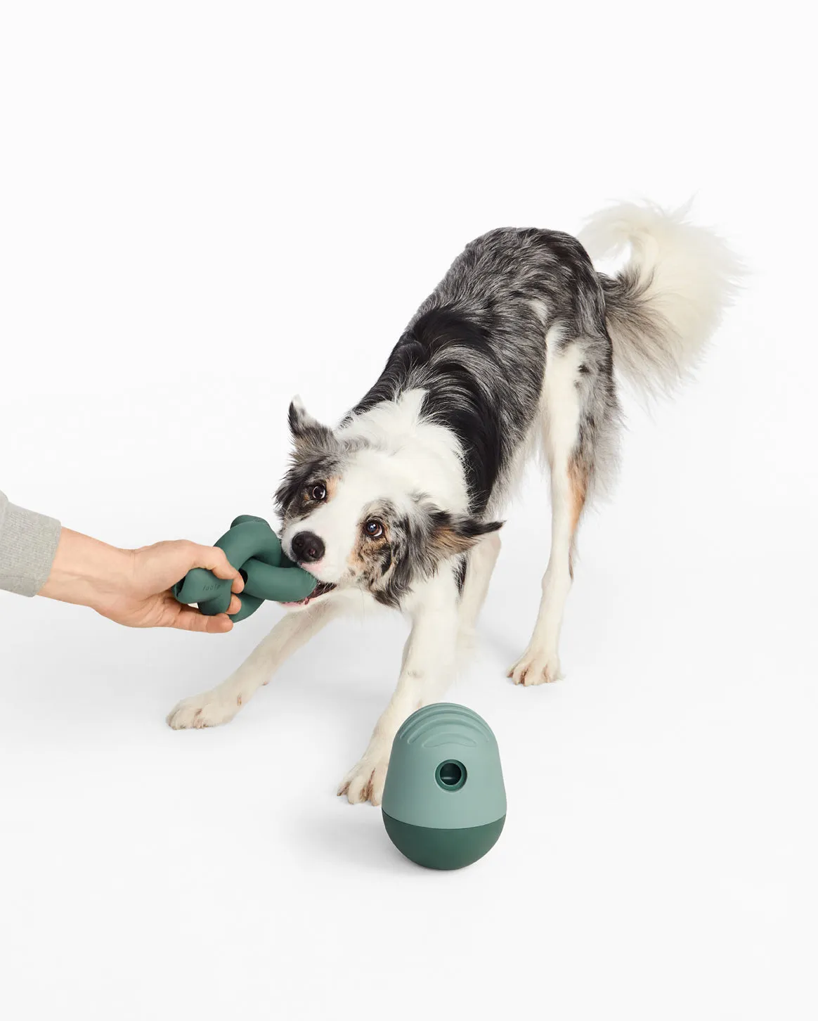 Enrichment Set