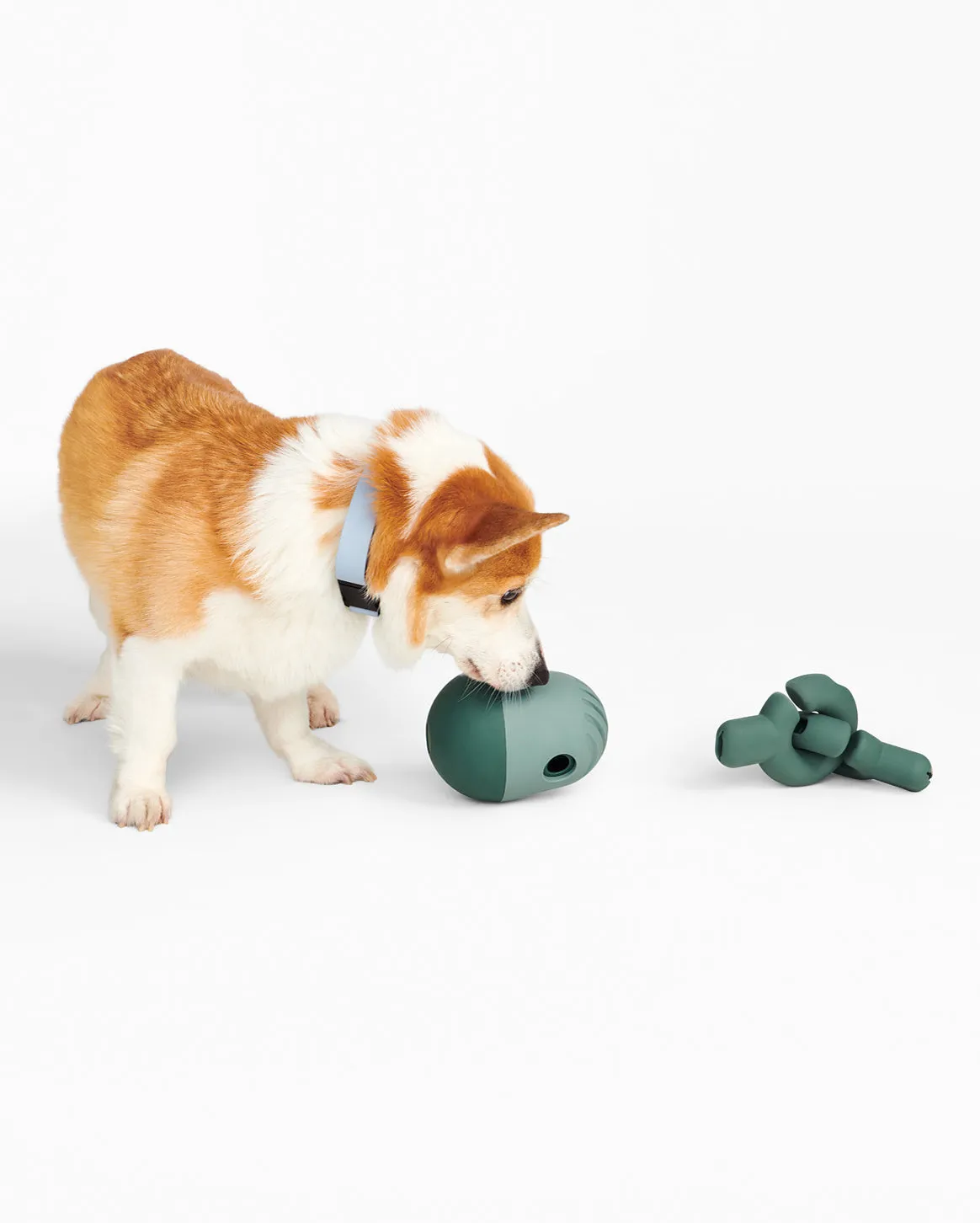 Enrichment Set