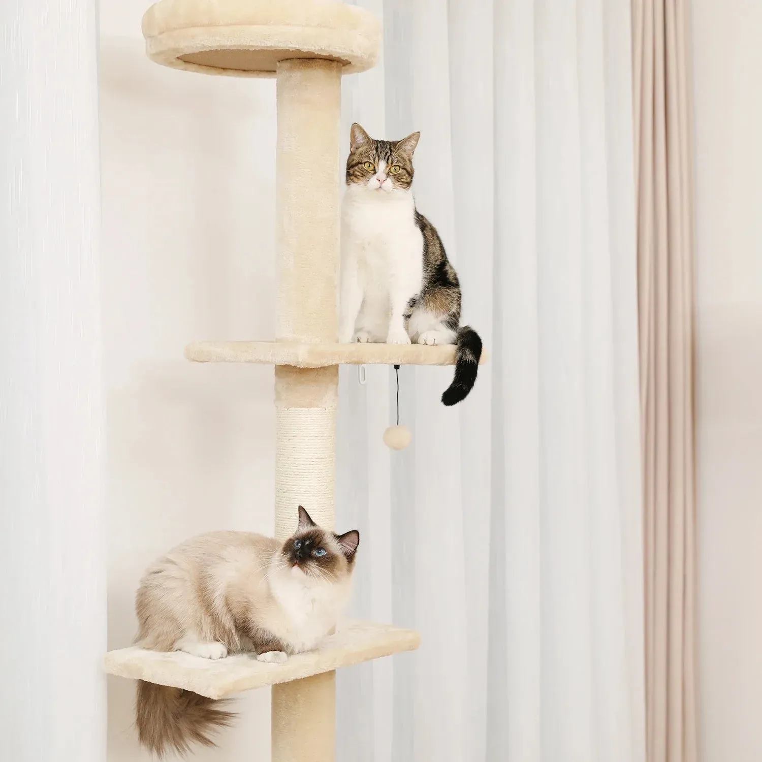 Floor-to-Ceiling Cat Tree - 228-274cm Tall Cat Climbing Tower