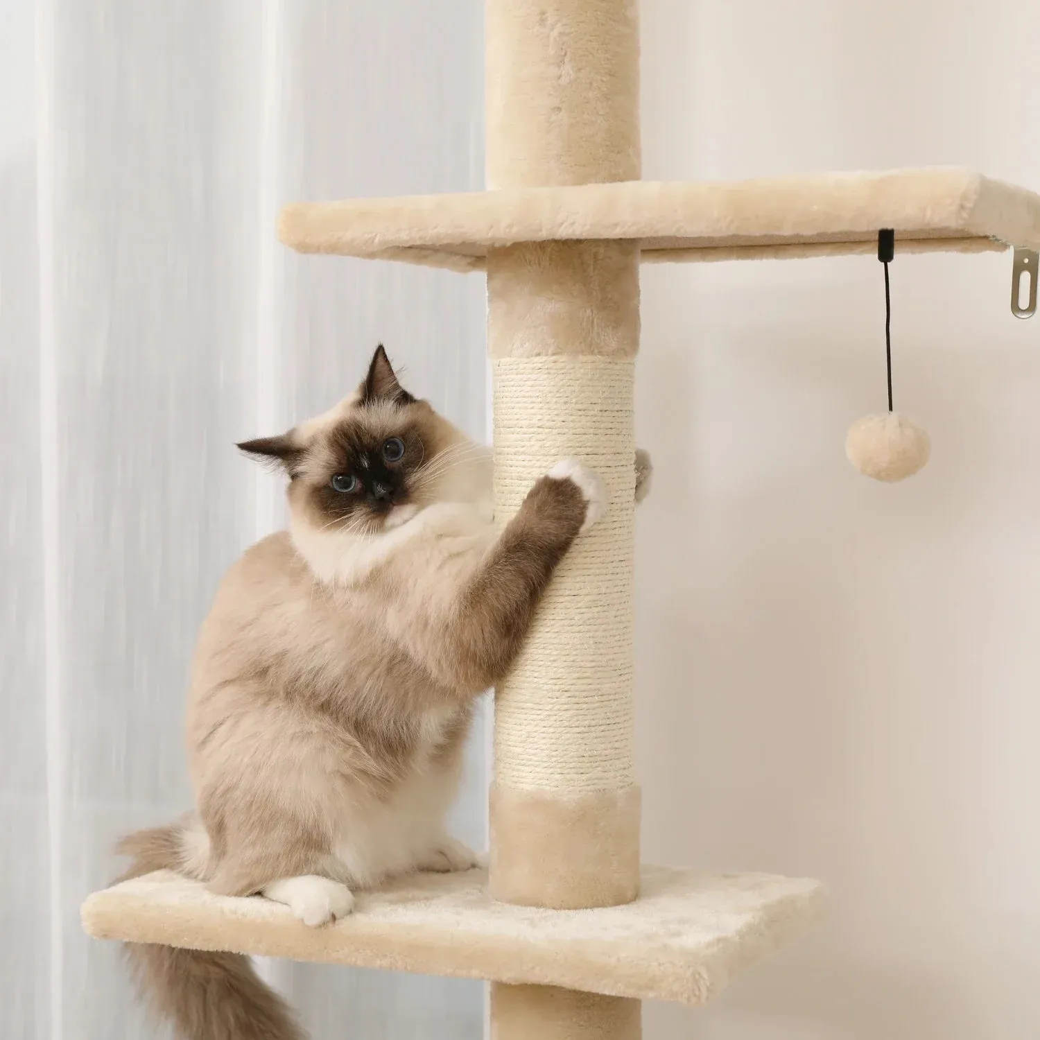 Floor-to-Ceiling Cat Tree - 228-274cm Tall Cat Climbing Tower