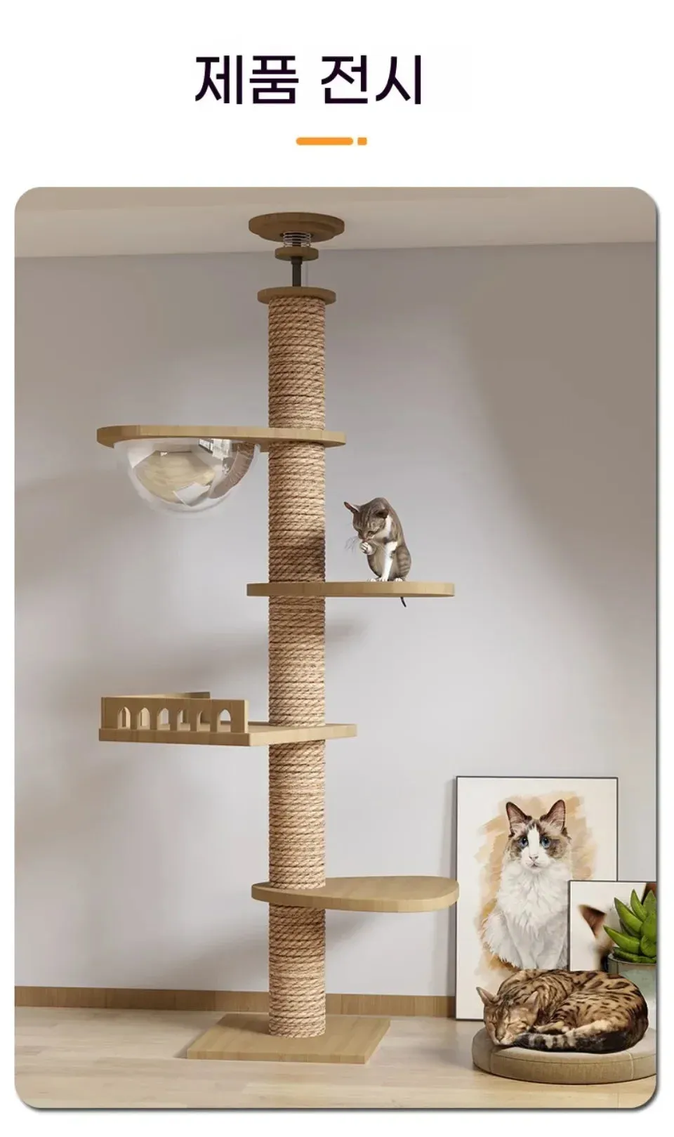 Floor-to-Ceiling Cat Tree Tower