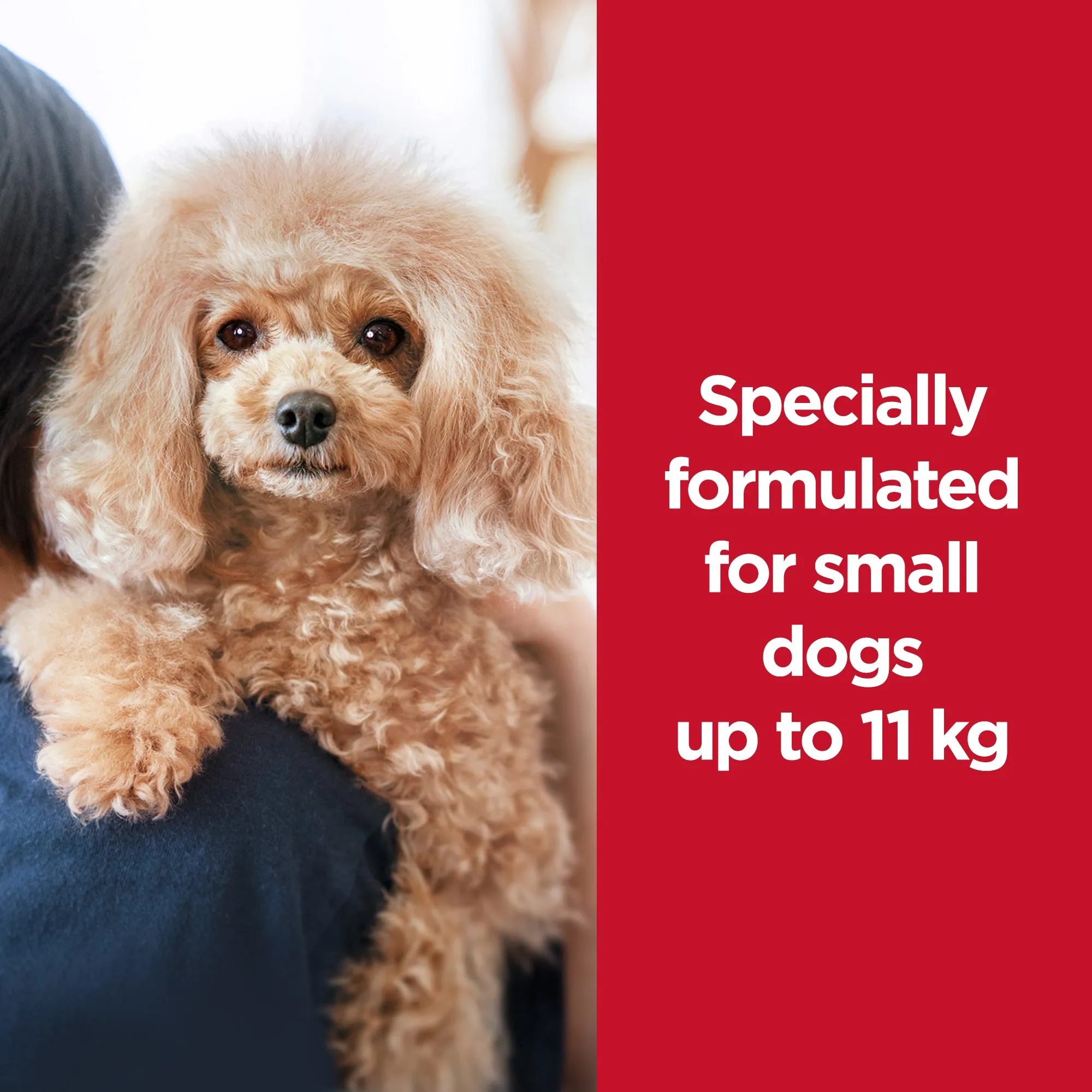 Hill's Science Diet Adult 7  Small and Mini Senior Dry Dog Food 1.5kg