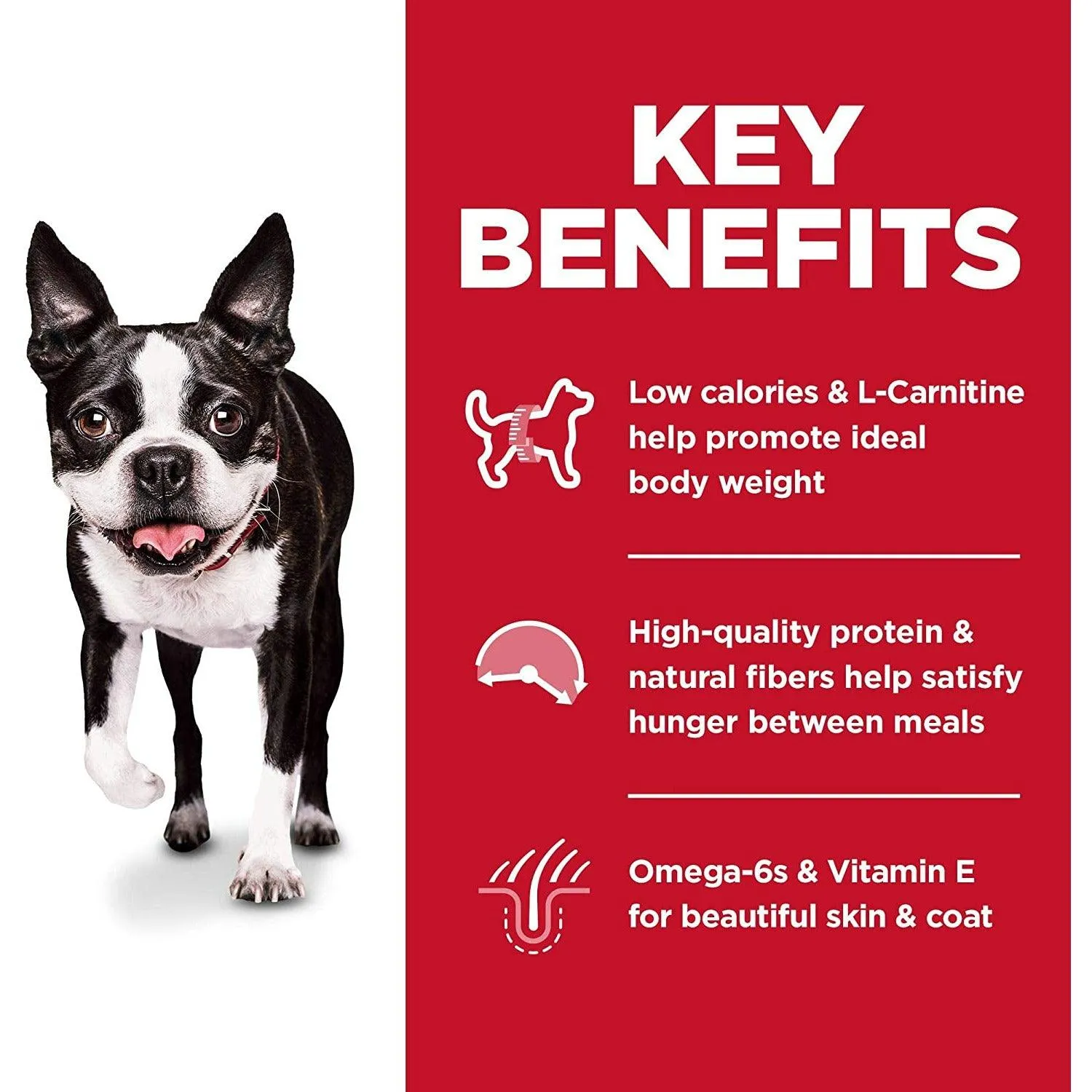 Hill's Science Diet Adult Light Small Bites dog food