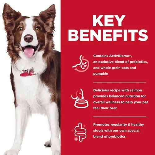 Hill's Science Diet Adult Perfect Digestion Salmon Recipe Dry Dog Food