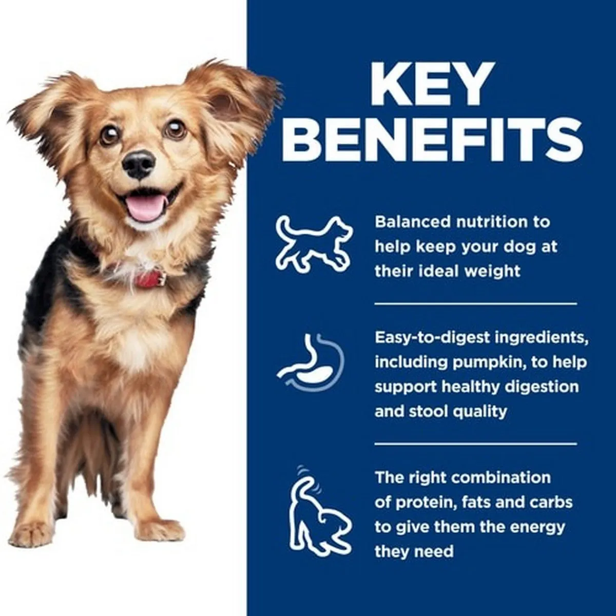 Hill's Science Diet Adult Perfect Digestion Small & Mini Chicken & Brown Rice Dry Dog Food 3.5lb