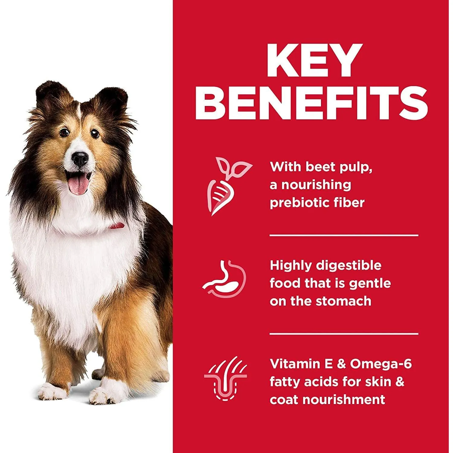 Hill's Science Diet Dry Dog Food, Adult, Sensitive Stomach & Skin Recipes