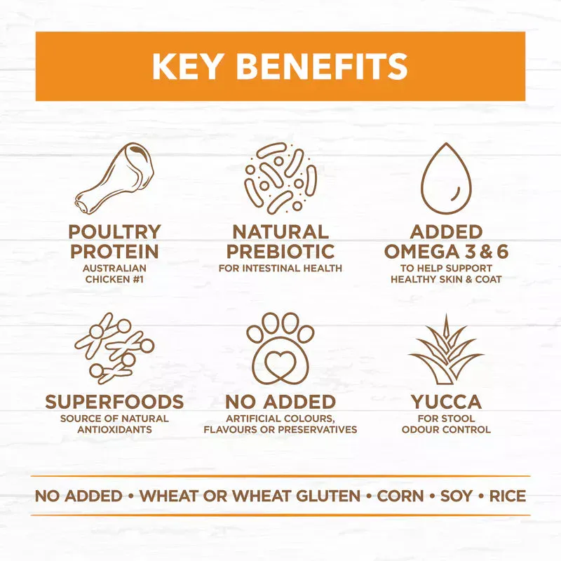 Ivory Coat - Dog - Grain Free - Chicken