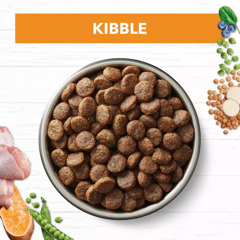 Ivory Coat - Dog - Grain Free - Chicken