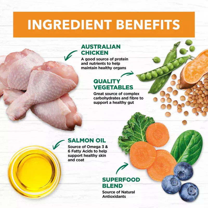 Ivory Coat - Dog - Grain Free - Chicken