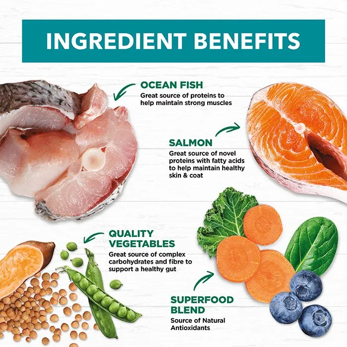 Ivory Coat - Dog - Grain Free - Salmon & Ocean Fish