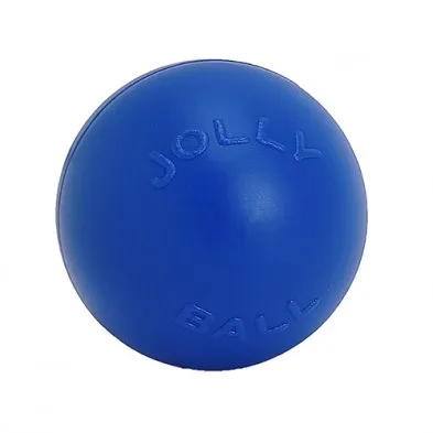 Jolly Pets Push - N - Play 6''