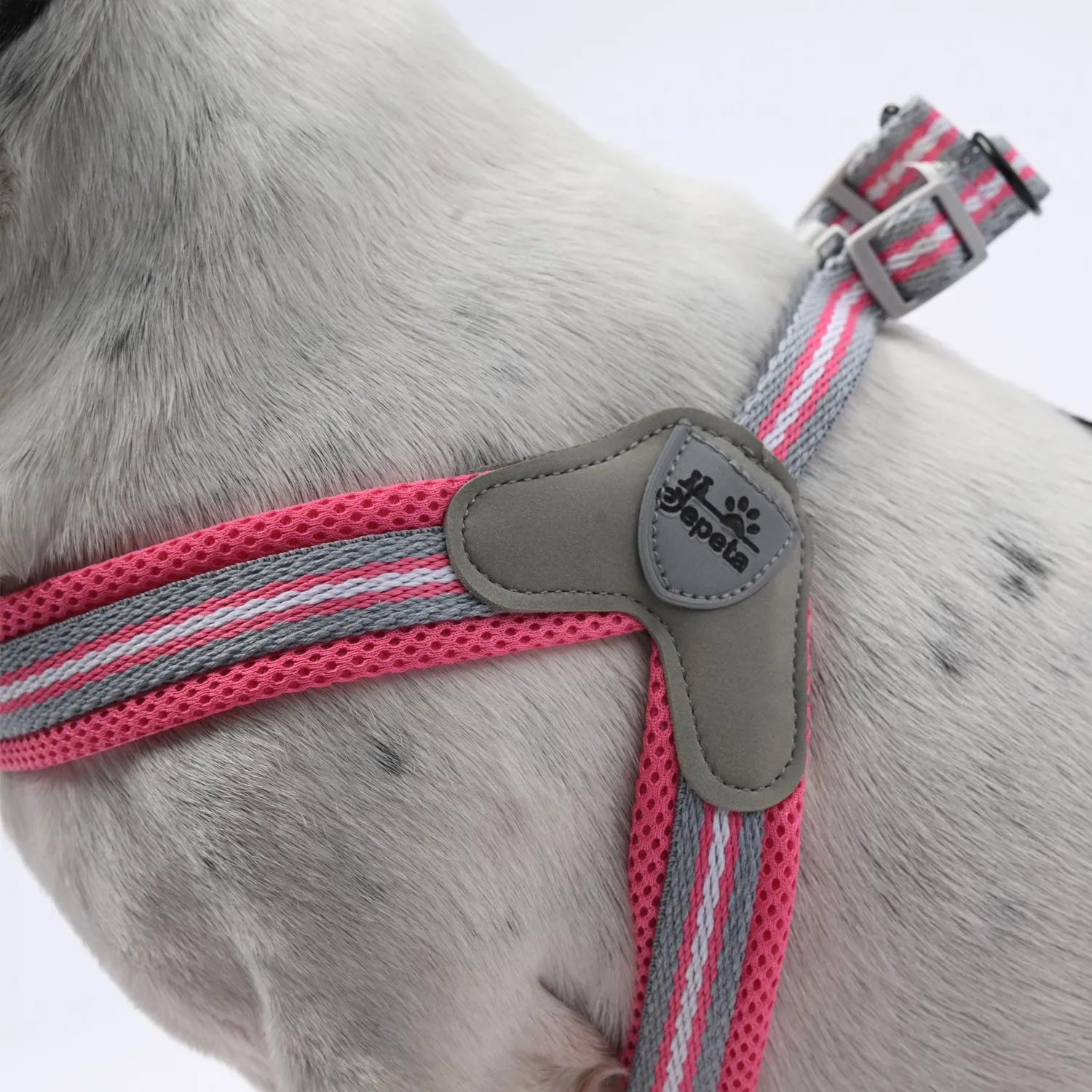 LeashLock No-Pull Frenchie Harness with Leash