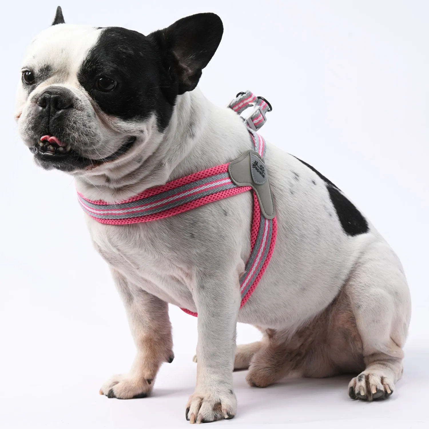 LeashLock No-Pull Frenchie Harness with Leash