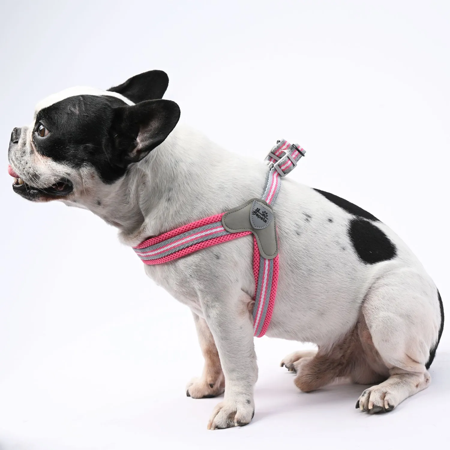 LeashLock No-Pull Frenchie Harness with Leash