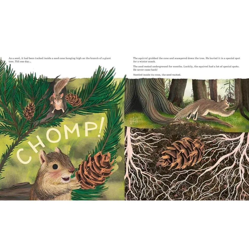 Listen to the Language of the Trees PB