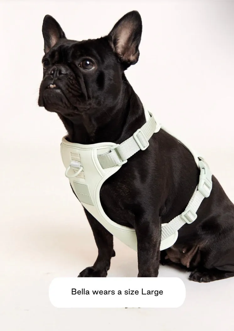 MAXBONE Double Panel Dog Harness in Lavender, Mint, Charcoal, Peach & Sand