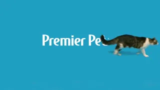Multi-Laser Cat Toy - Interactive, Rotating Lasers