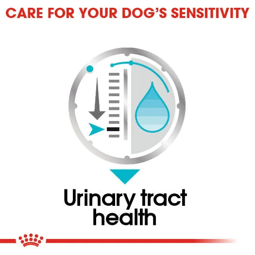 Royal Canin Dog Pouch - Urinary Care Dog