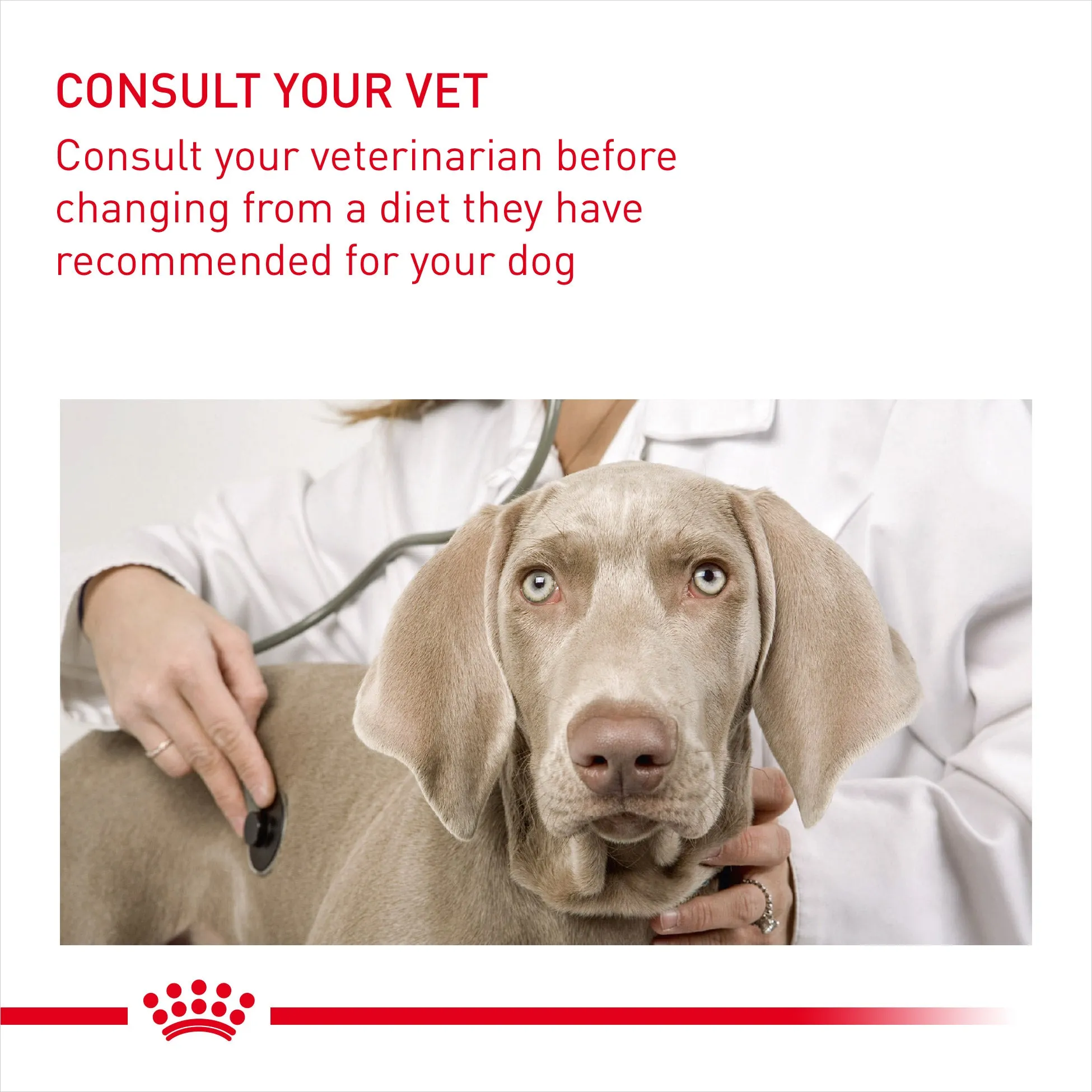 Royal Canin Dog Pouch - Urinary Care Dog