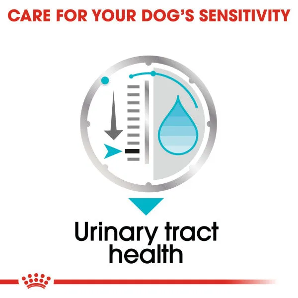 Royal Canin | Size Health Nutrition Wet Dog Food | Urinary Adult - 85g