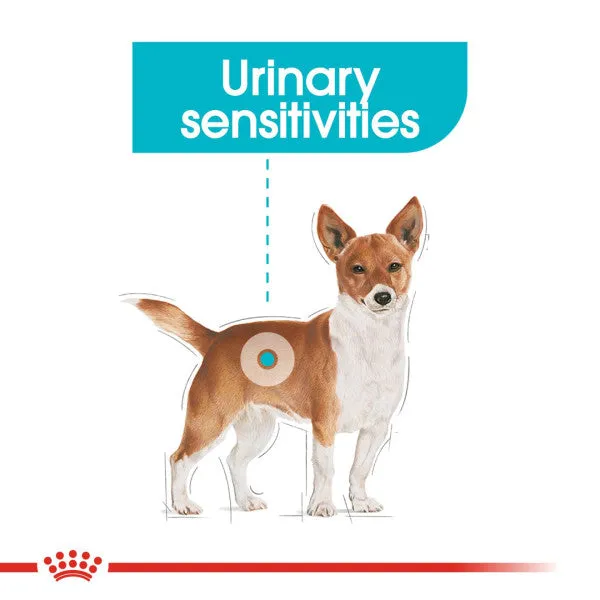 Royal Canin | Size Health Nutrition Wet Dog Food | Urinary Adult - 85g