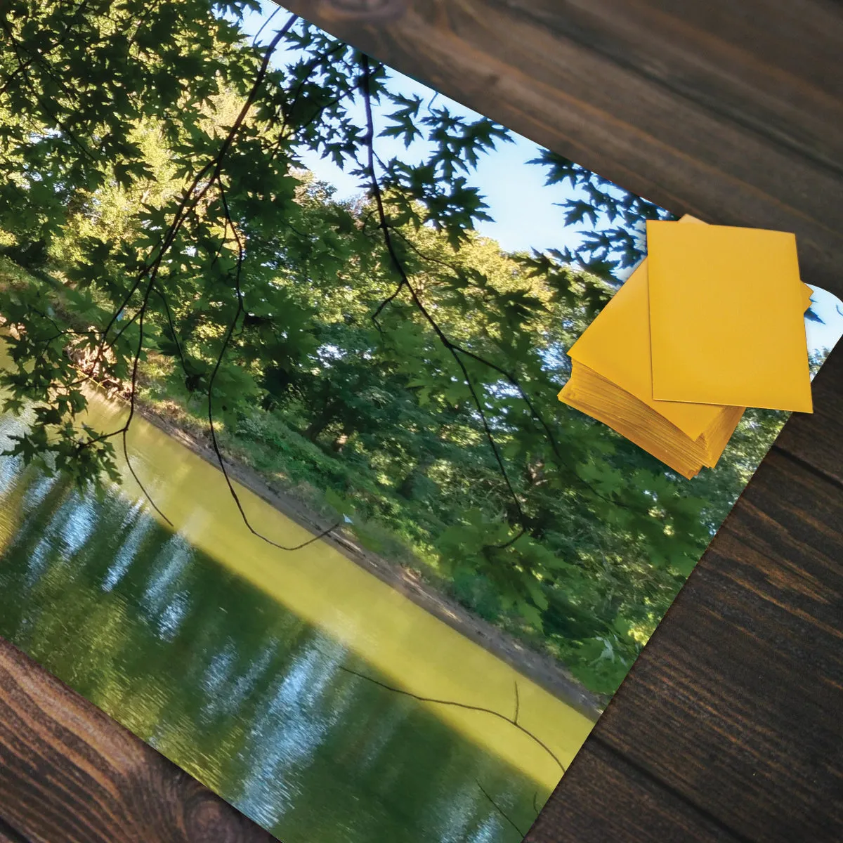 Summer Reflections Playmat
