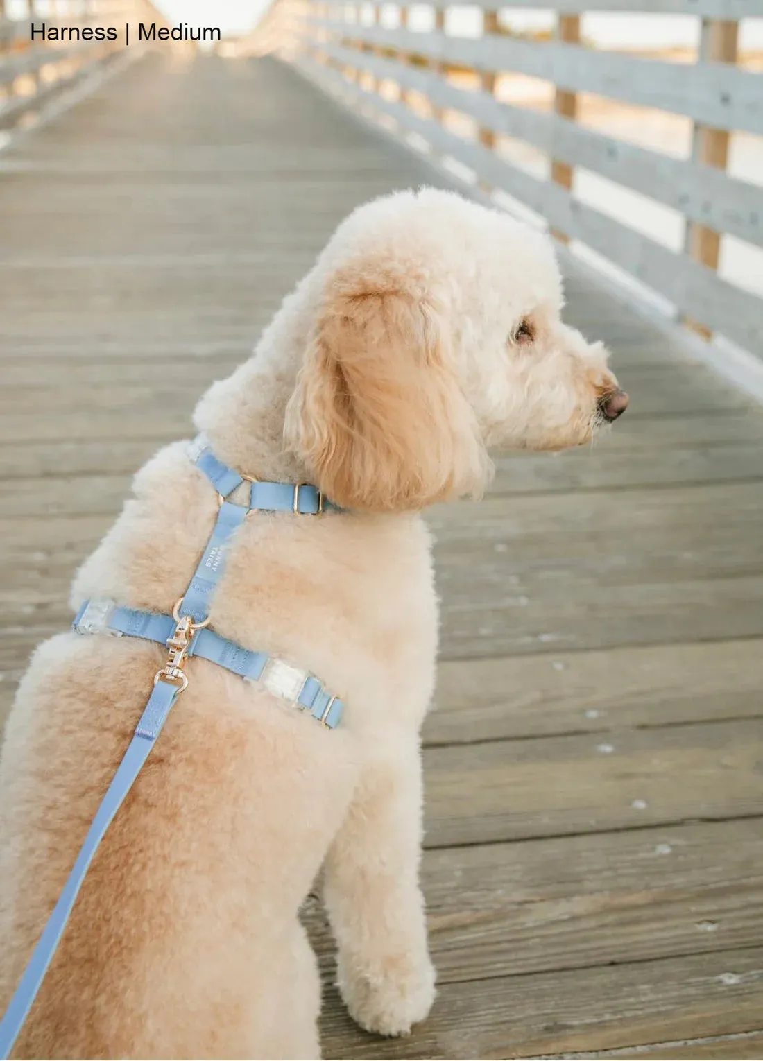Sunny Tails Waterproof Harness - Malibu Blue (New Clips!)