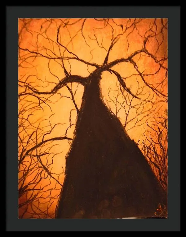 Tree's Unite - Framed Print