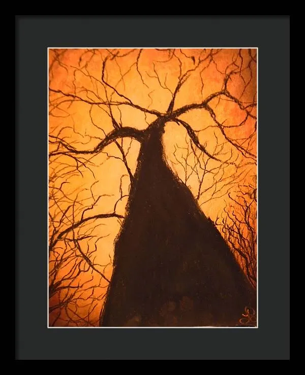 Tree's Unite - Framed Print