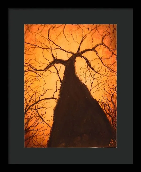 Tree's Unite - Framed Print