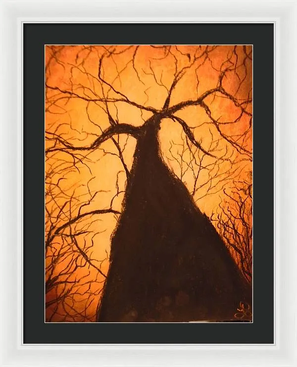 Tree's Unite - Framed Print