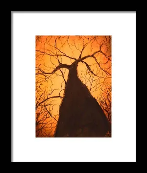 Tree's Unite - Framed Print