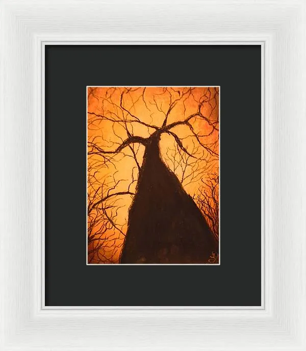 Tree's Unite - Framed Print