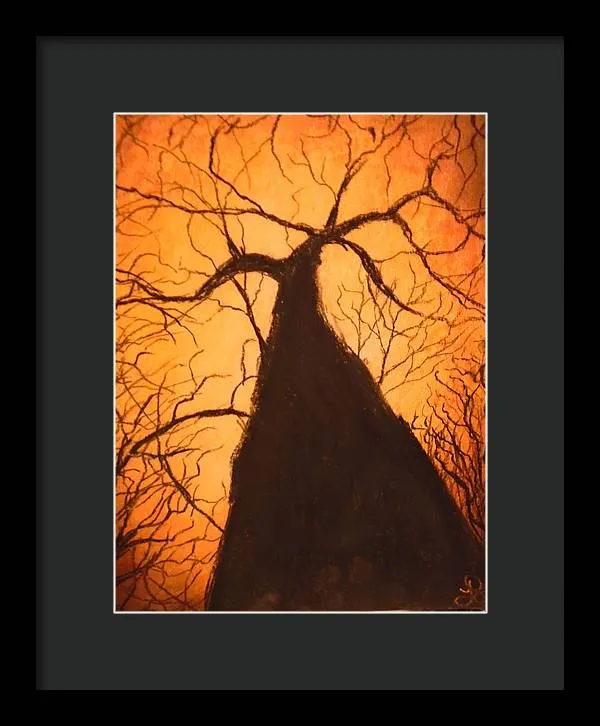 Tree's Unite - Framed Print
