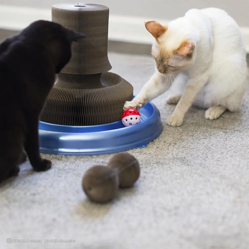 Turbo® Transform It!™ Cat Toy